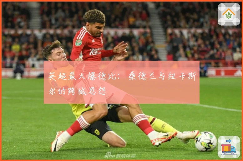 英超最火爆德比：桑德兰与纽卡斯尔的跨城恩怨