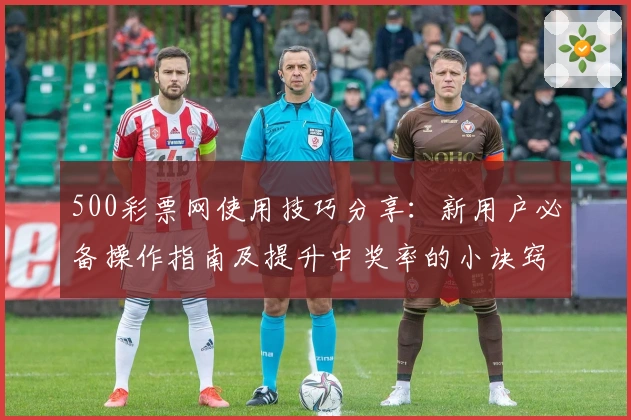 500彩票网使用技巧分享：新用户必备操作指南及提升中奖率的小诀窍
