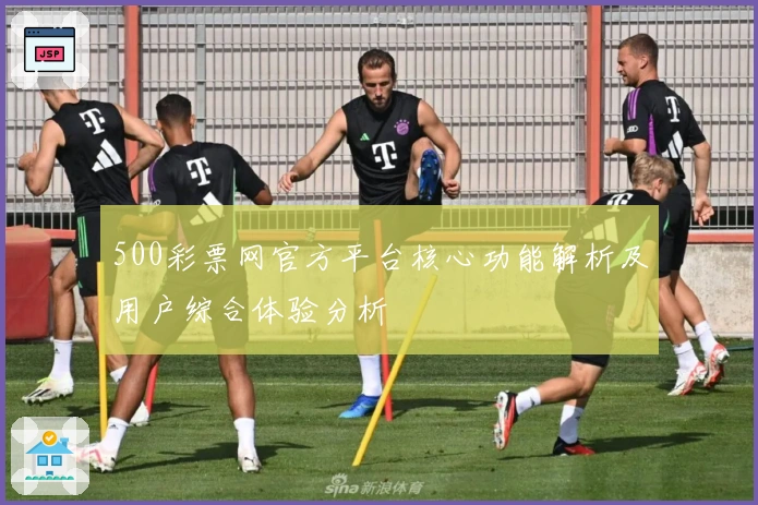 500彩票网官方平台核心功能解析及用户综合体验分析