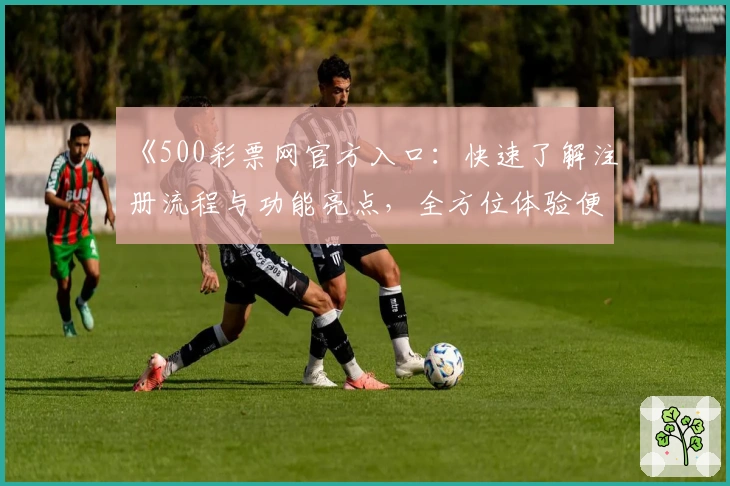 《500彩票网官方入口:快速了解注册流程与功能亮点,全方位体验便捷服务》