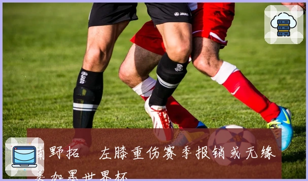 南野拓実左膝重伤赛季报销或无缘美加墨世界杯