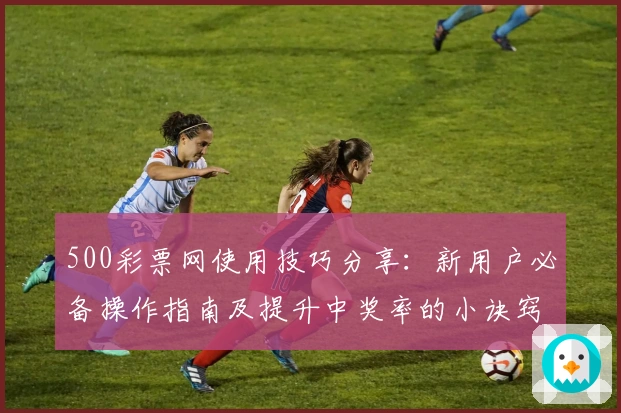 500彩票网使用技巧分享:新用户必备操作指南及提升中奖率的小诀窍